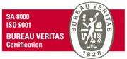 BV Logo